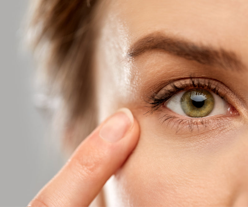Auge und Sehen