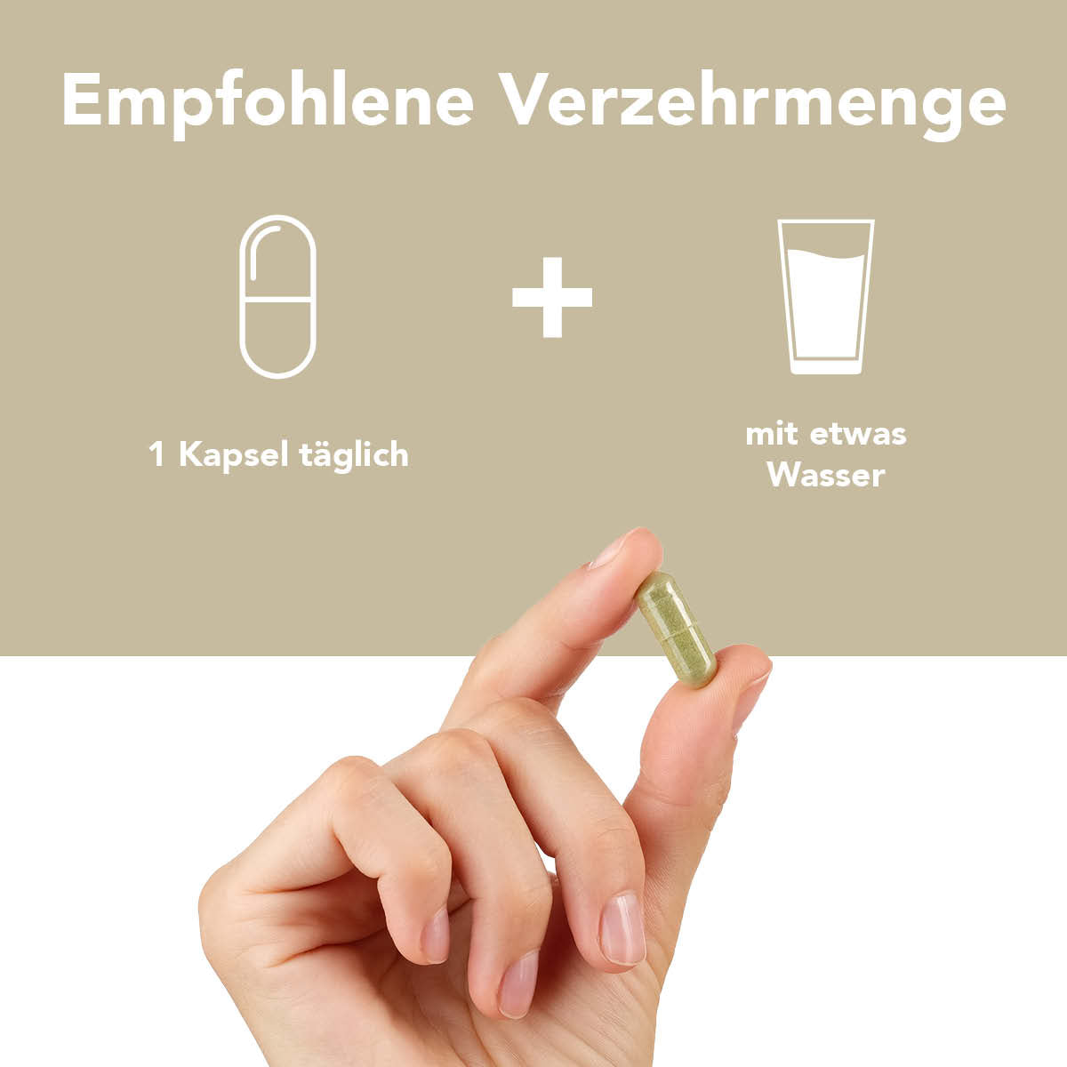 Produktbild von Sibirischer GINSENG